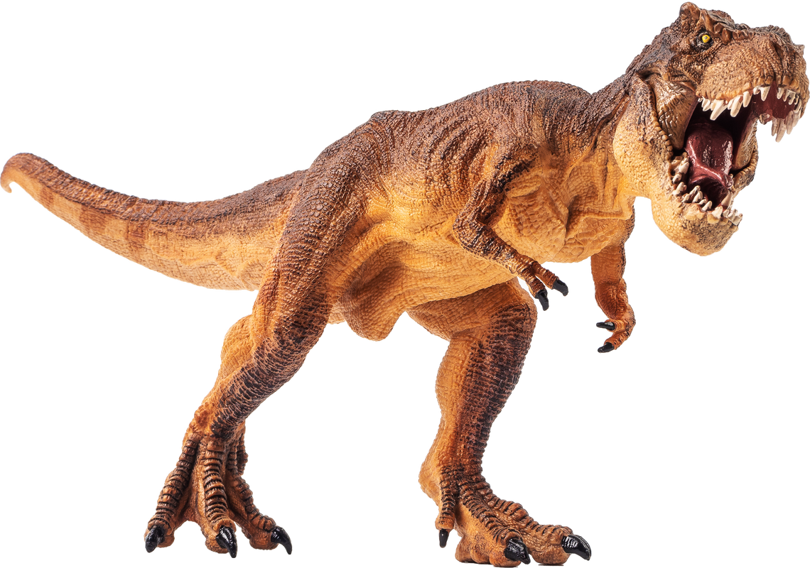 Tyrannosaurus T-rex , dinosaur on isolated background .